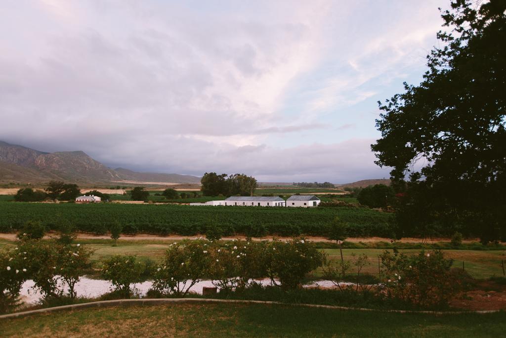Leipzig Country House & Winery Nuy Εξωτερικό φωτογραφία
