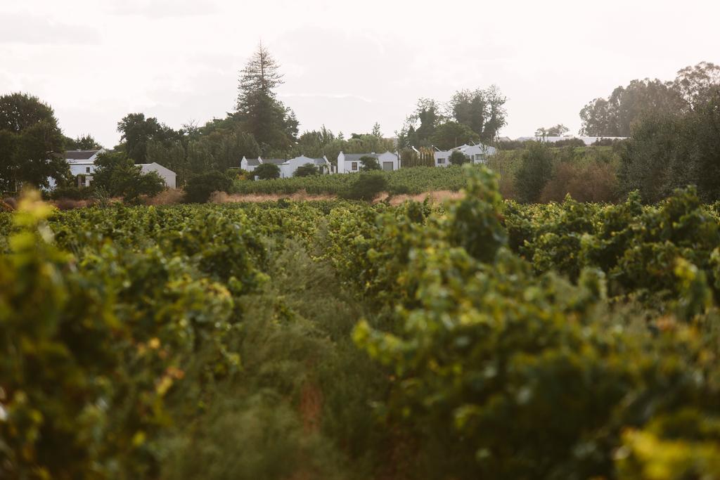 Leipzig Country House & Winery Nuy Εξωτερικό φωτογραφία
