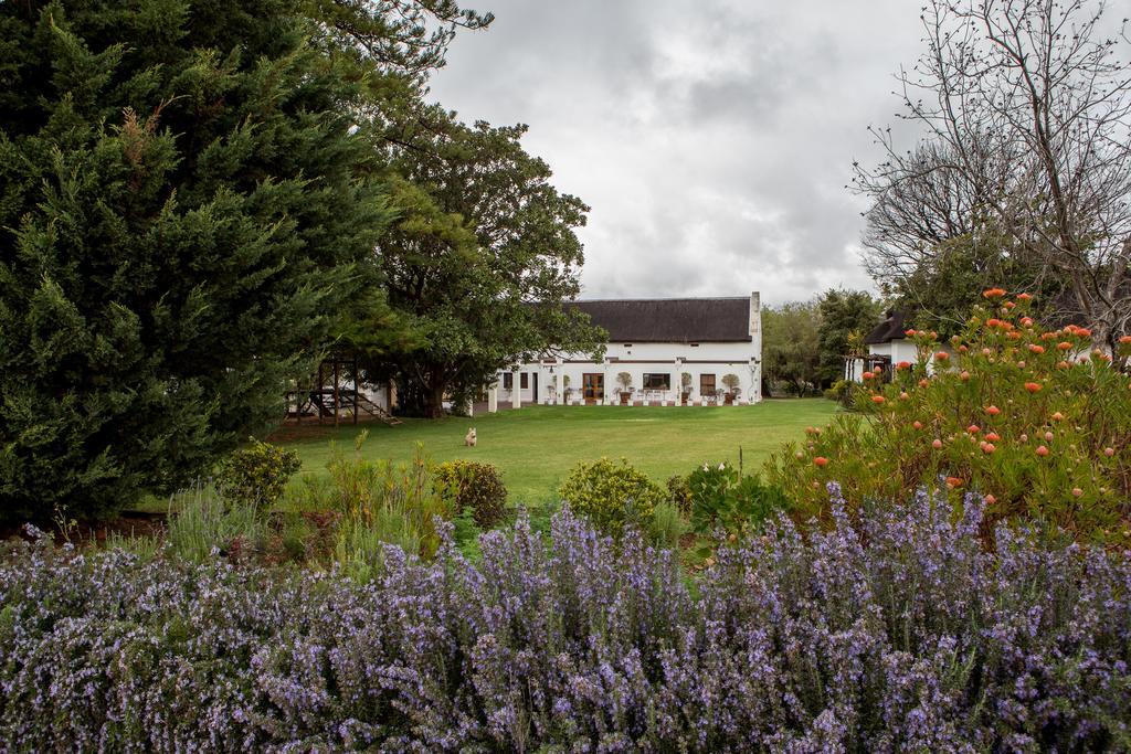 Leipzig Country House & Winery Nuy Εξωτερικό φωτογραφία