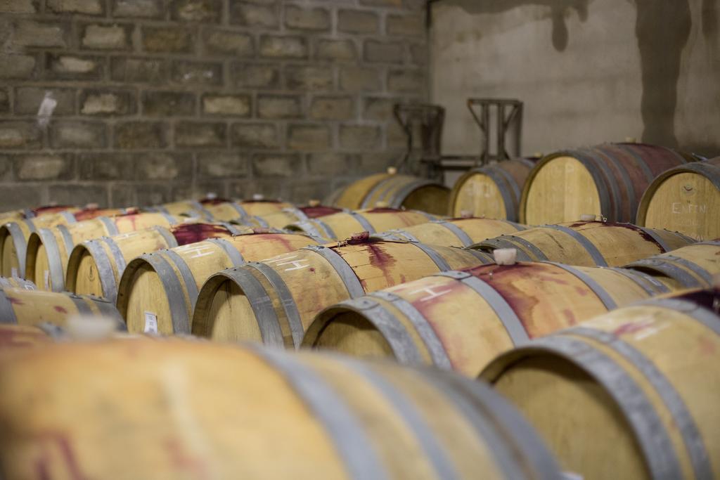 Leipzig Country House & Winery Nuy Εξωτερικό φωτογραφία